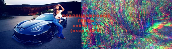 крисы Белоозёрский