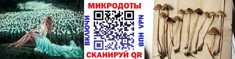 Галлюциногенные грибы прущие грибы  Ворсма 