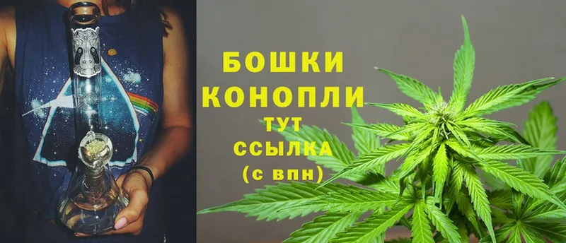 где продают   Ворсма  Конопля Bruce Banner 